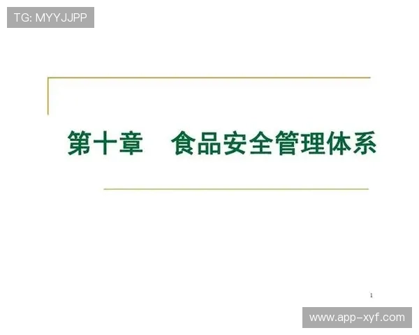 威廉网站安全保障措施详解，确保用户数据安全与隐私保护