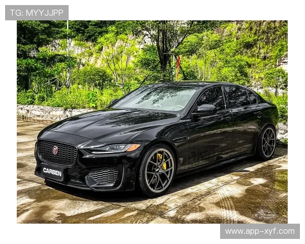 捷豹在线娱乐：安全可靠的游戏平台保障玩家隐私与资金安全，尽情畅玩无忧